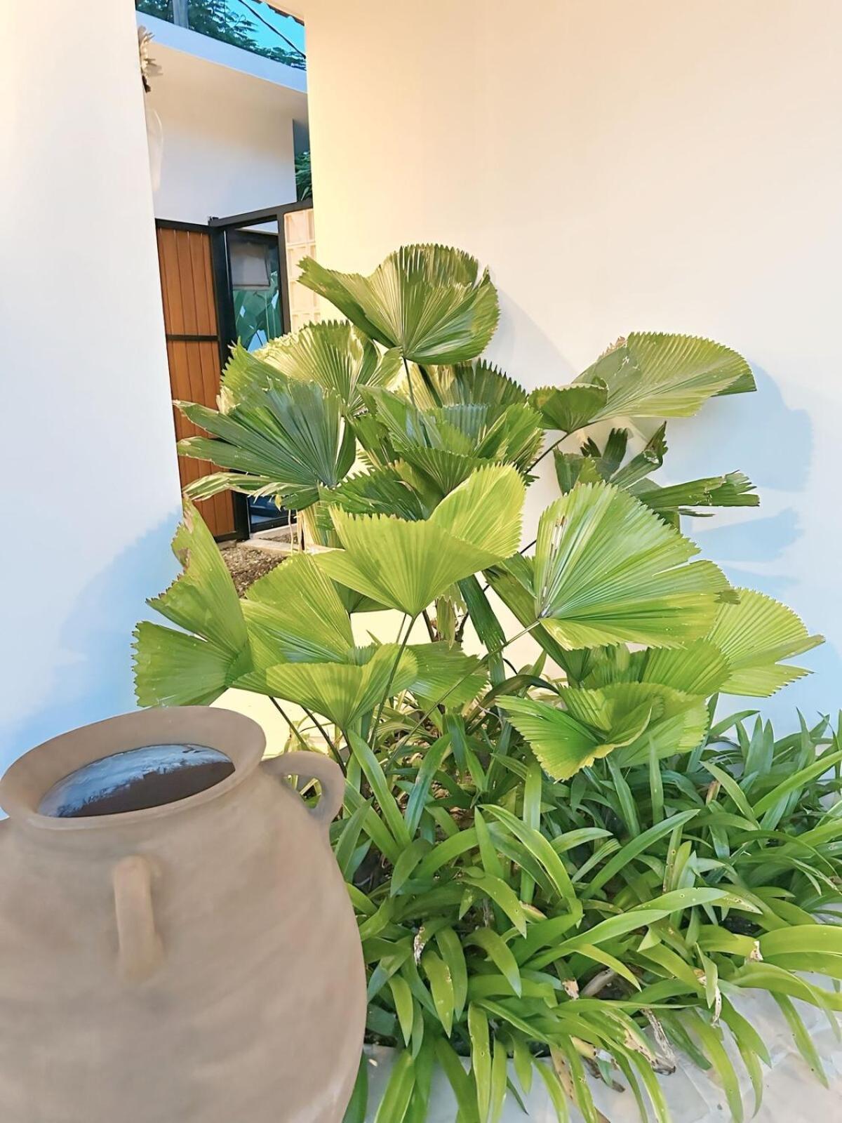 Amerta Villa Seminyak Экстерьер фото